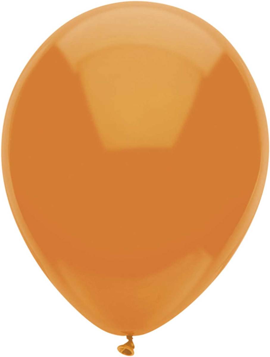Ballonnen Oranje (10ST)