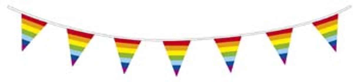 Regenboog vlaggenlijn 10 meter