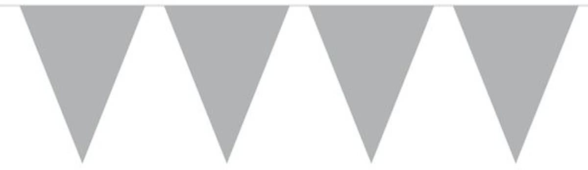 vlaggenlijn - zilver - 10m