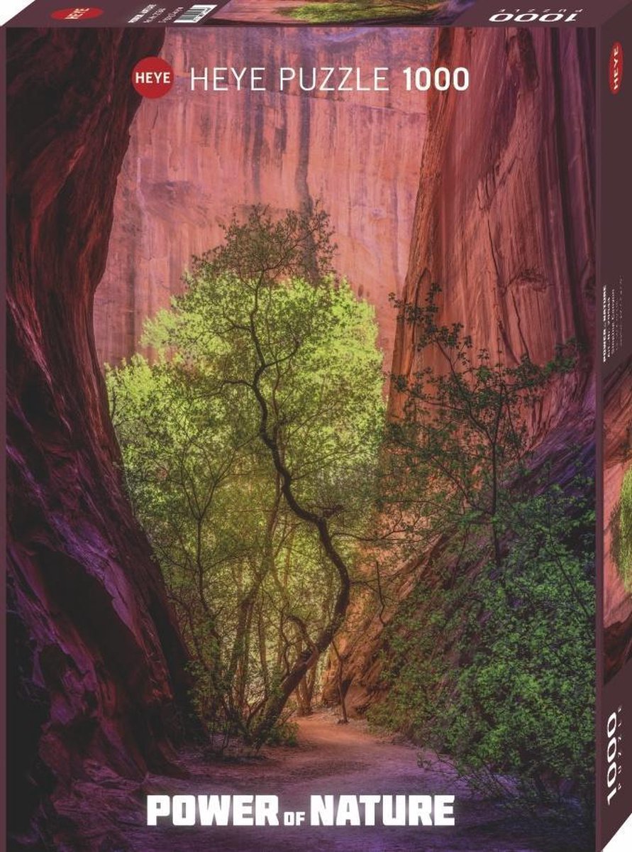 Singing Canyon Puzzle 1000 Teile