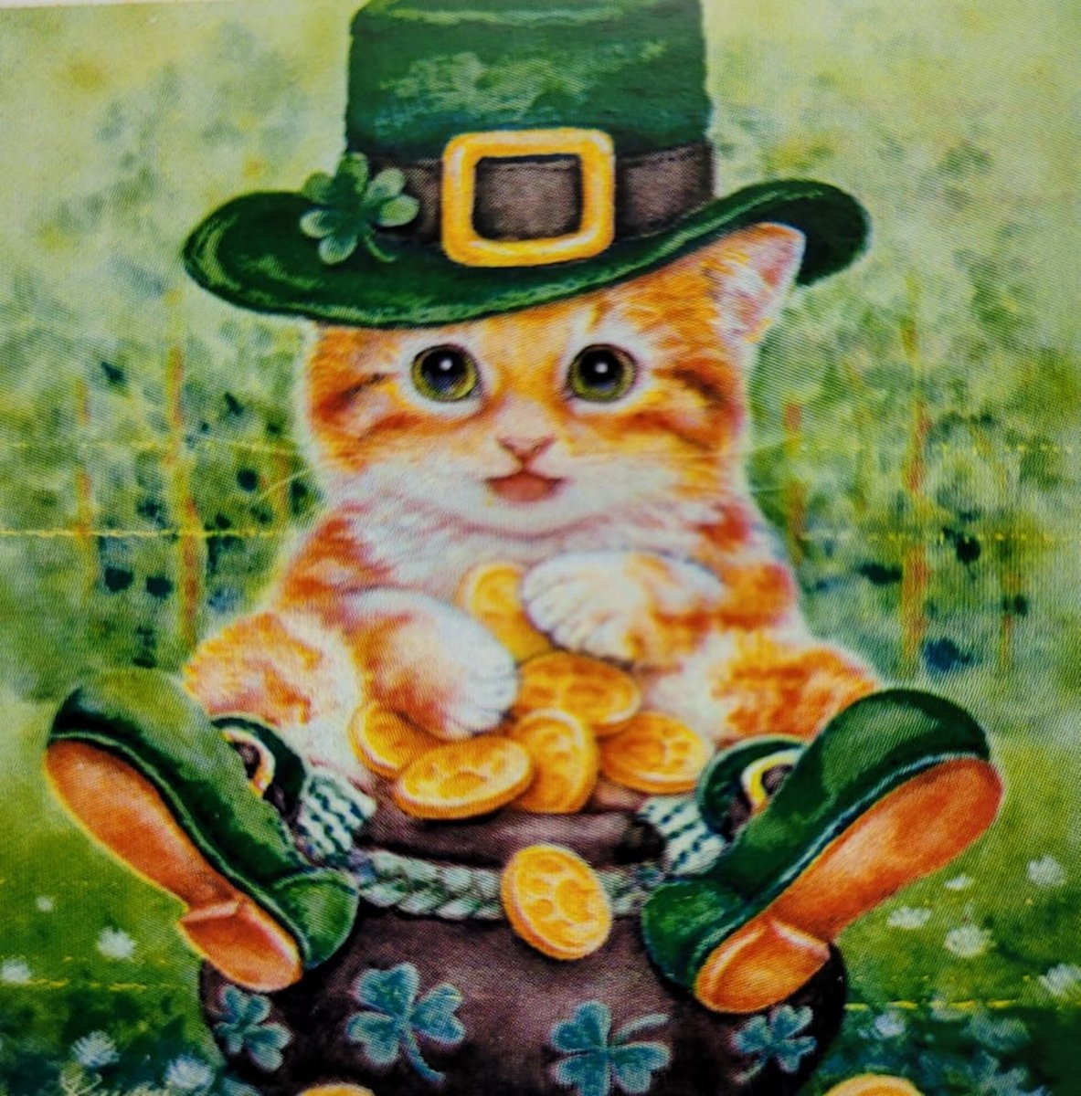 Diamond painting 30 x 30 CM canvas - 25 x 25 cm painting - 5D - Coole kat