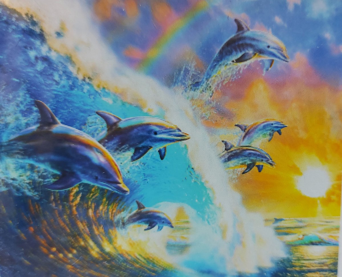 Diamond painting 40 x 50 CM canvas - 43.5 x 32.5 painting - 5D - Dolfijnen fun