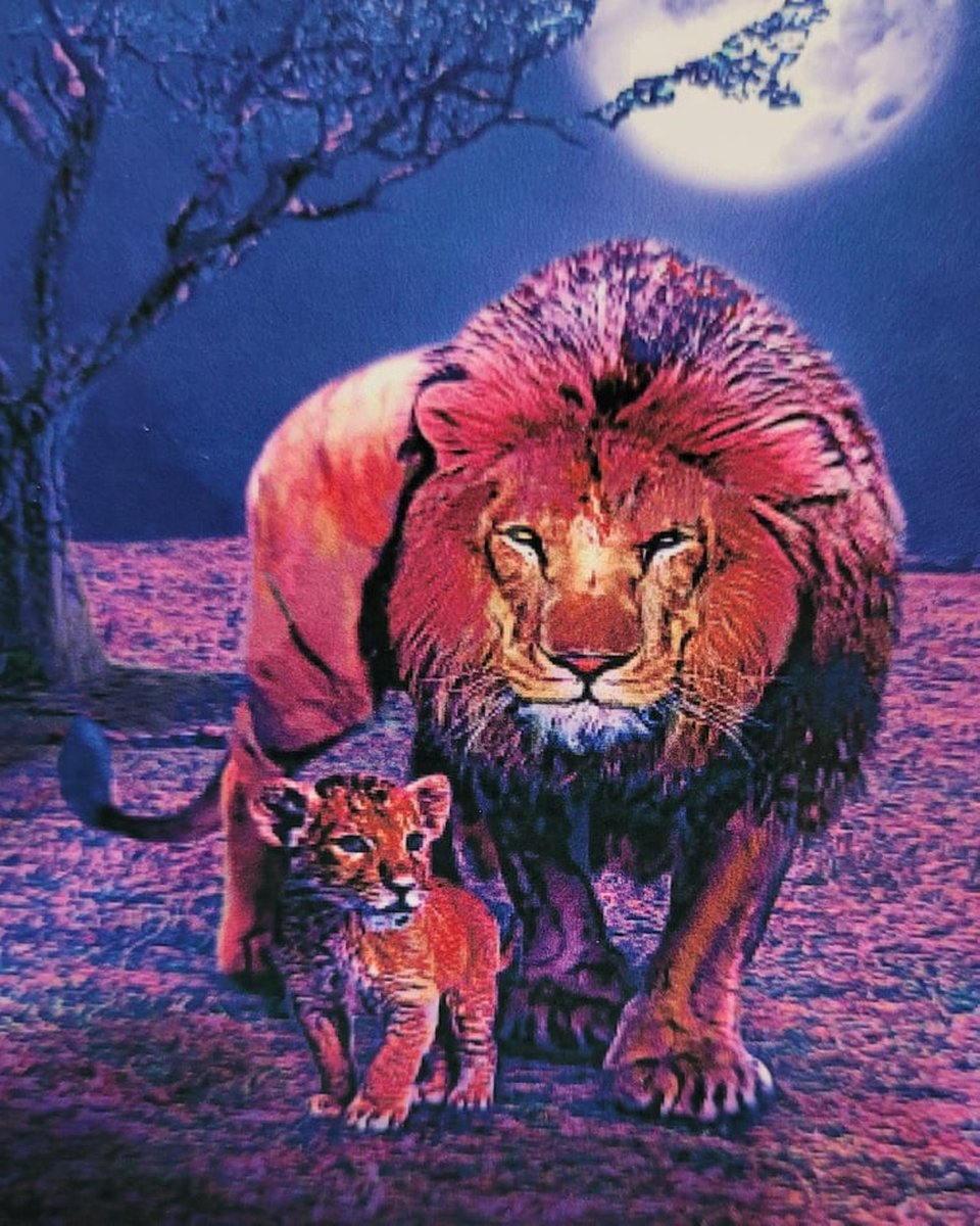 Diamond painting 40 x 50 CM canvas - 43.5 x 32.5 painting - 5D - Leeuw met welp