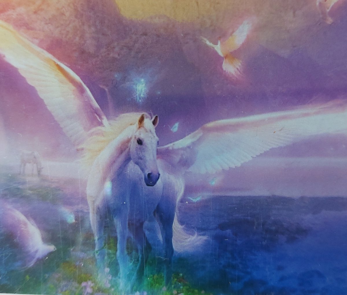 Diamond painting 40 x 50 CM canvas - 43.5 x 32.5 painting - 5D - Sprookjes Paard