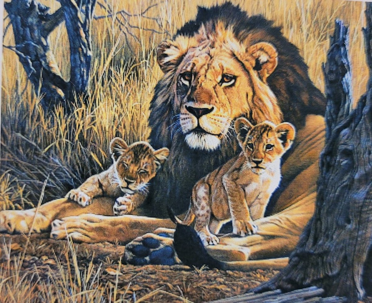 Diamond painting 40 x 50 CM canvas - 43.5 x 32.5 painting - 5D - Tijger met Welpjes