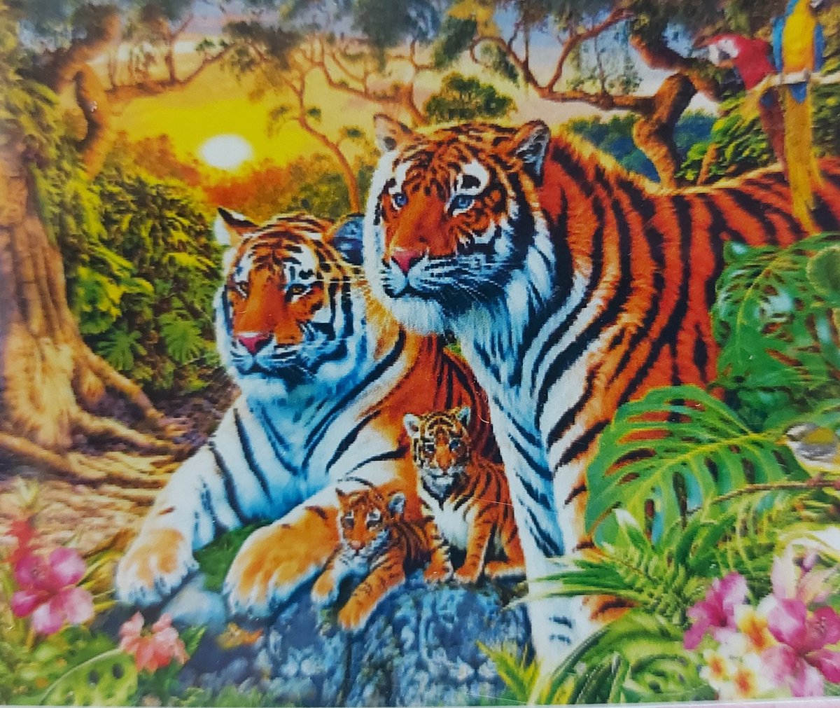 Diamond painting 40 x 50 CM canvas - 43.5 x 32.5 painting - 5D - Tijgers