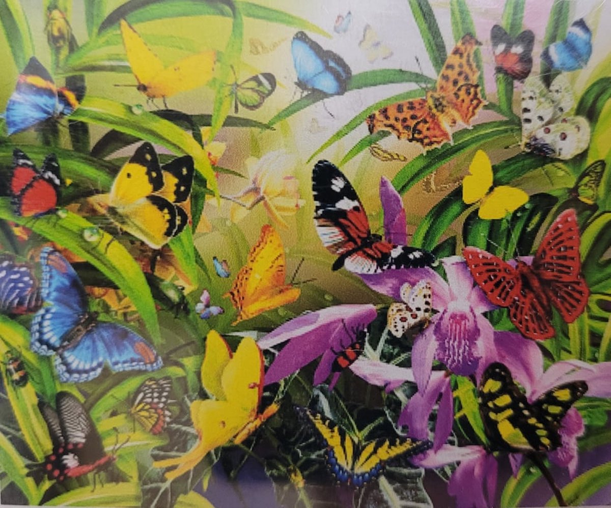 Diamond painting 40 x 50 CM canvas - 43.5 x 32.5 painting - 5D - Vlindertuin