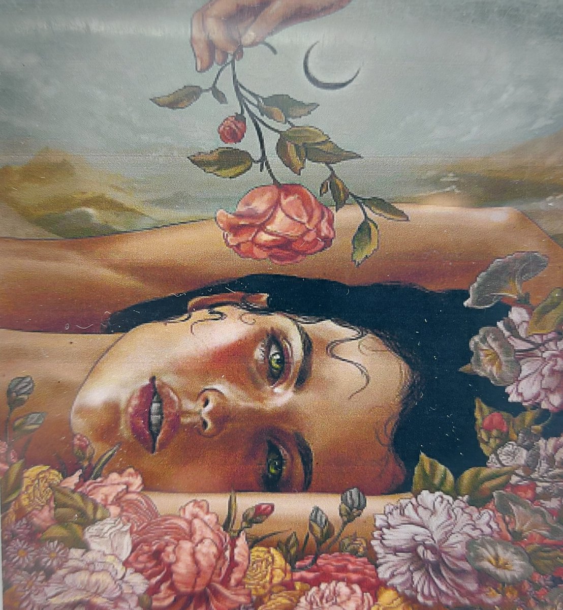 Diamond painting 40 x 50 CM canvas - 43.5 x 32.5 painting - 5D - Vrouw