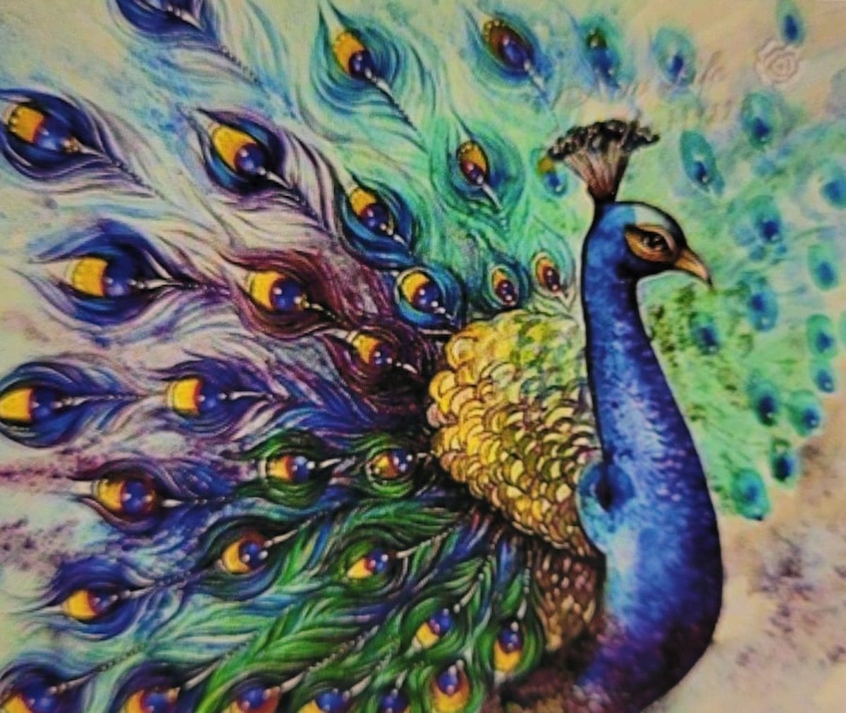 Diamond painting 40 x 50 CM canvas - 43.5 x 32.5 painting - 5D - pauw