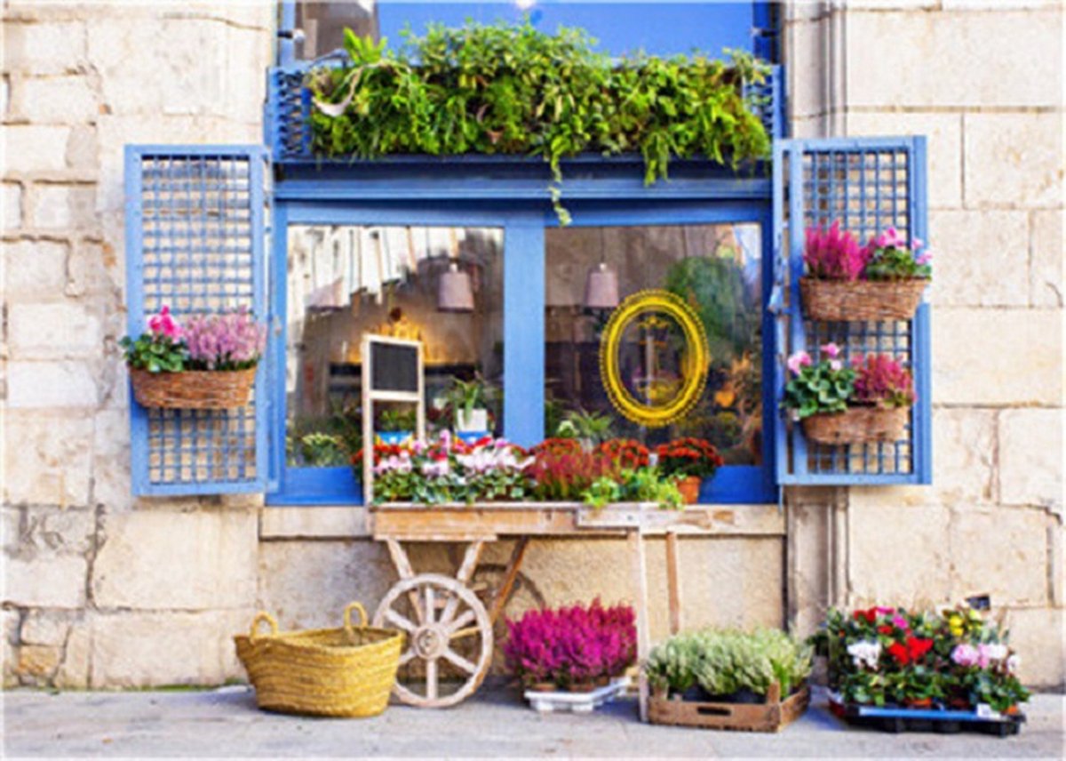 Diamond painting compleet pakket Hi Stone 50x40cm: raam met bloemen