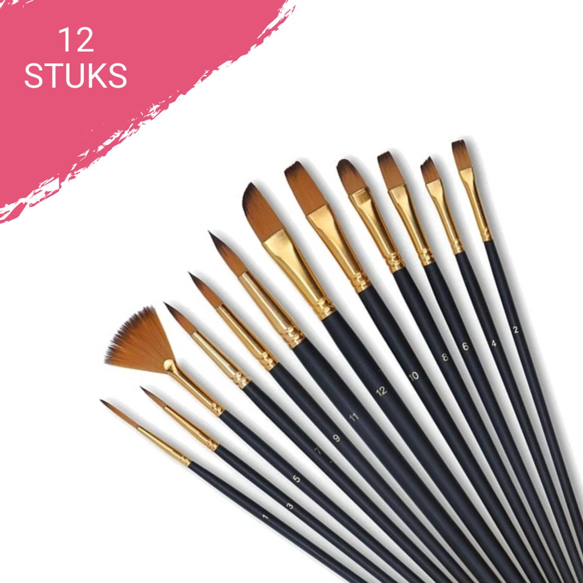 HobbyMania 12 Penselen - Schilderen Op Nummer Volwassenen - Modelbouw - Happy Stones - Nail Art - Acrylverf