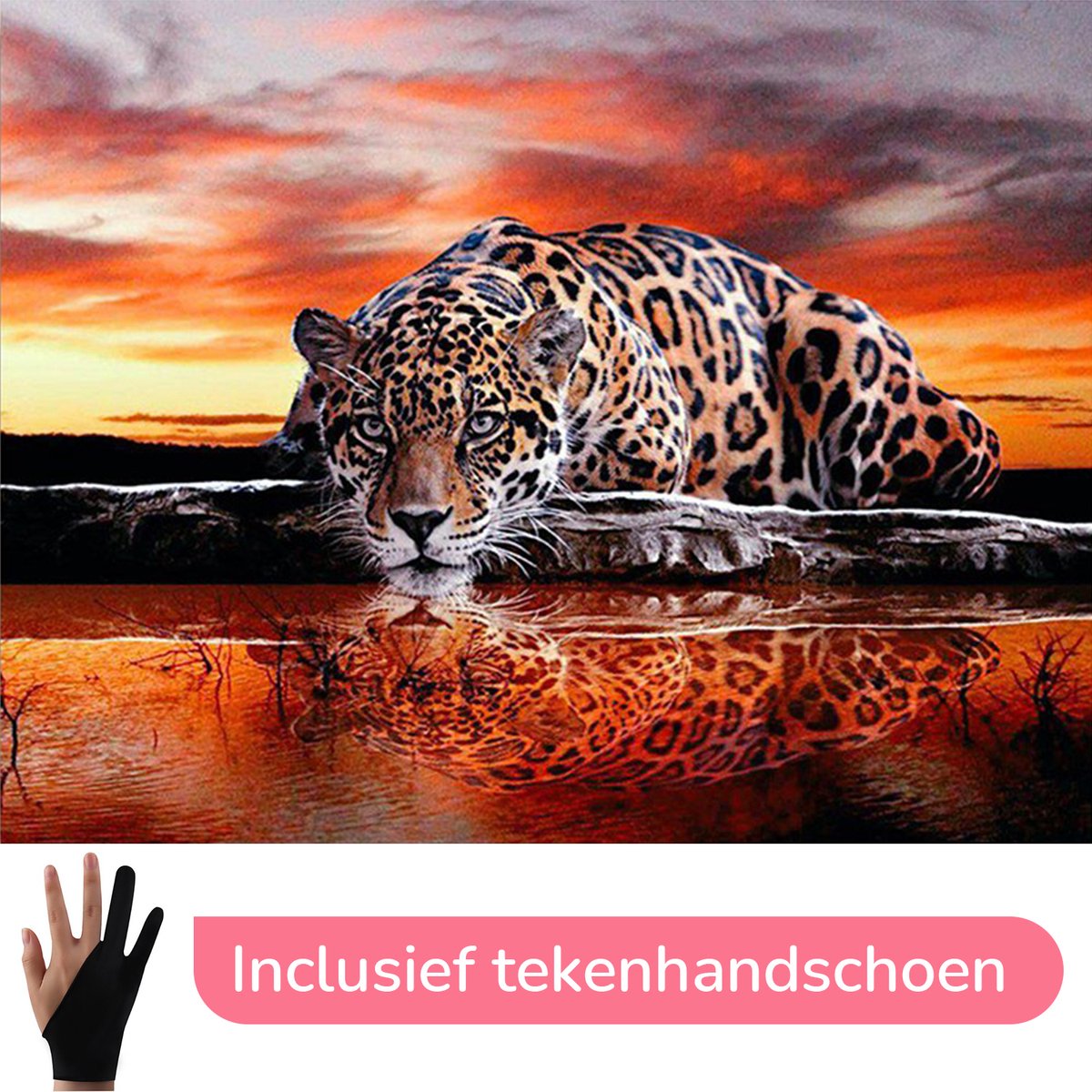 HobbyMania Schilderen Op Nummer Volwassenen Tijger Aan Het Water Luipaard Panter Dieren - Zonsondergang – 50x40 cm - Inclusief Tekenhandschoen - Paint By Number Volwassenen