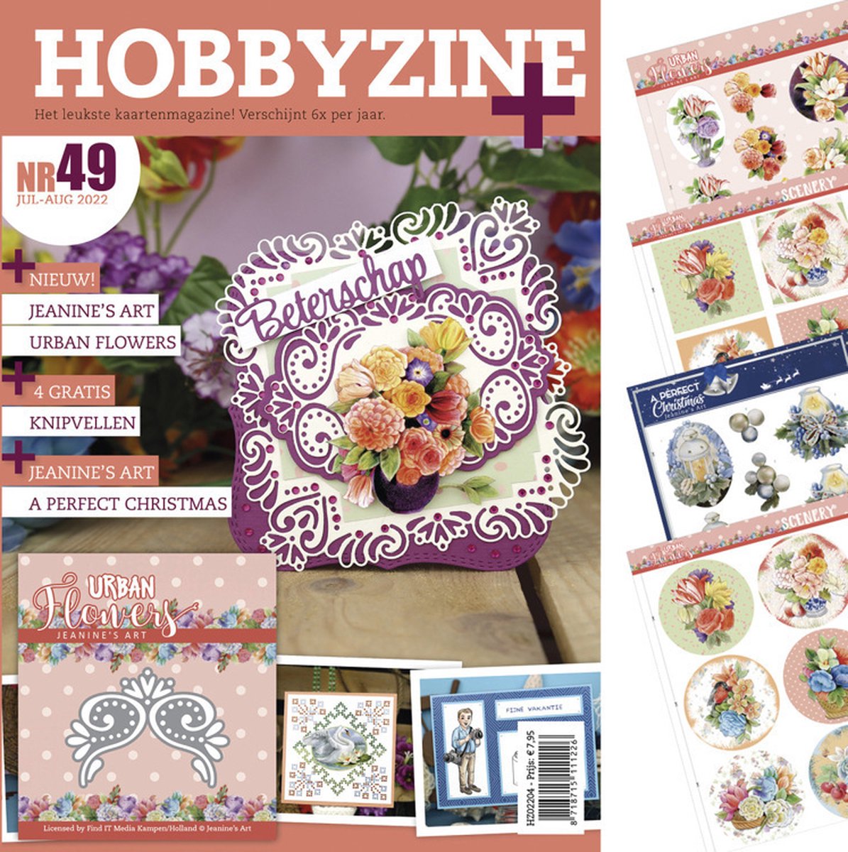 Hobbyzine Plus 49