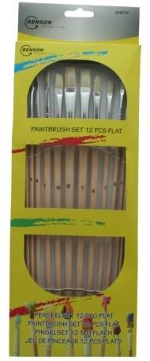 Penseelset / Penselen / Kwasten Plat (12 Delig)