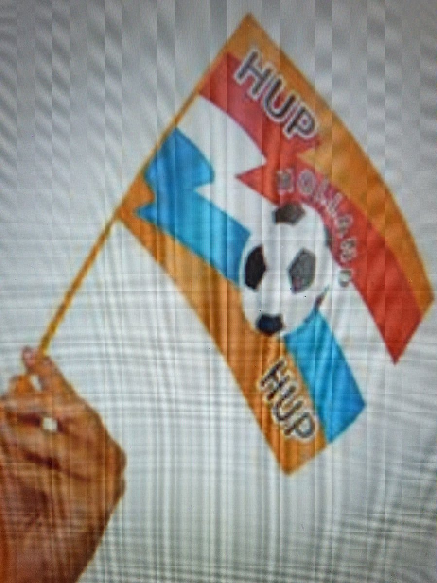 Vlag Hup   Hup - Oranje - EK - Rood -Wit - Blauw - Zwaaivlaggetje - Vlag - 25.5 x 17.5 cm -25 stuks