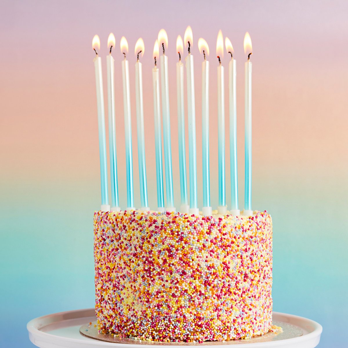 Ombre Blauw – 12 stuks