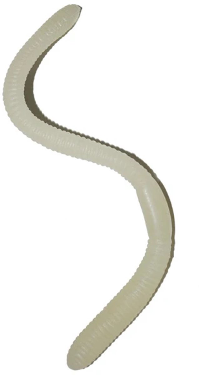 Glow wormpjes - 5 stuks - 2.5cm