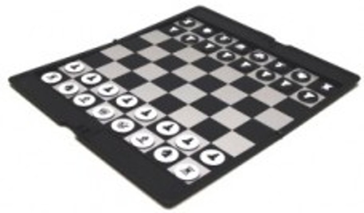 Reisschaak Etui magnetisch 20x17cm