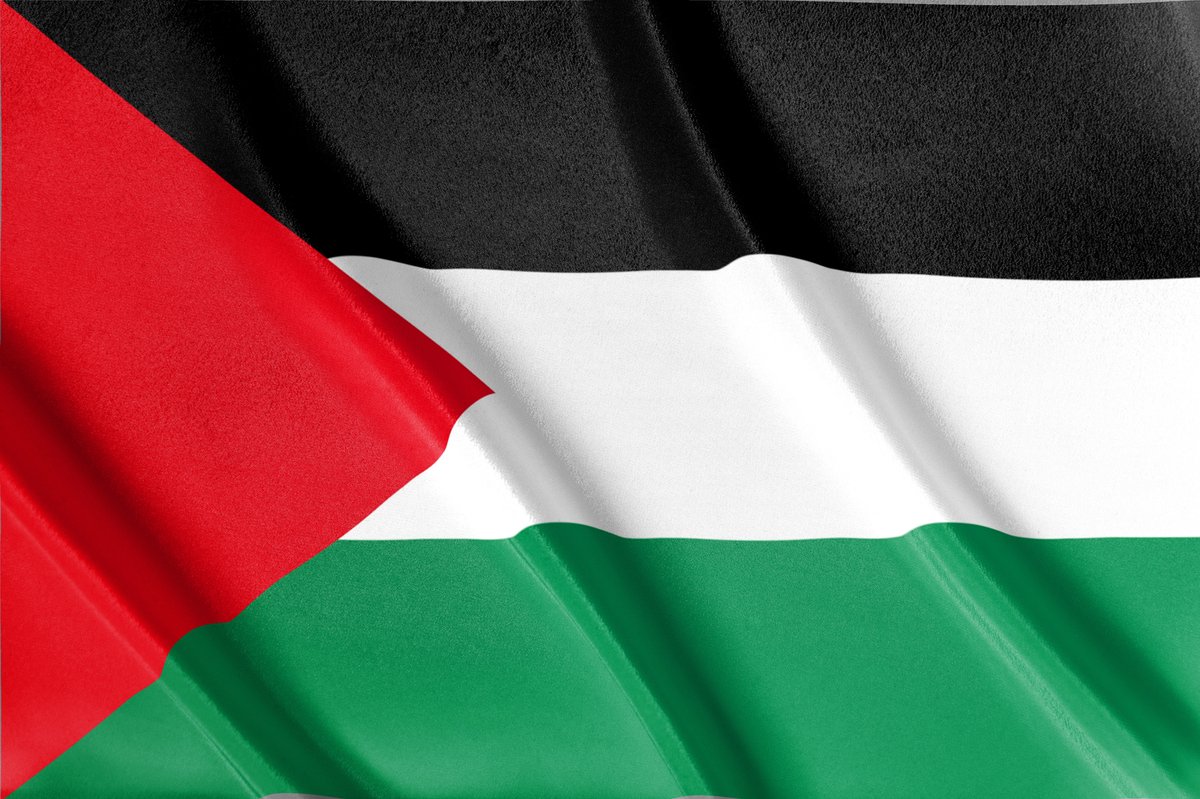 Palestijnse vlag - 200x100 cm - Palestina vlag - Duurzame vlag