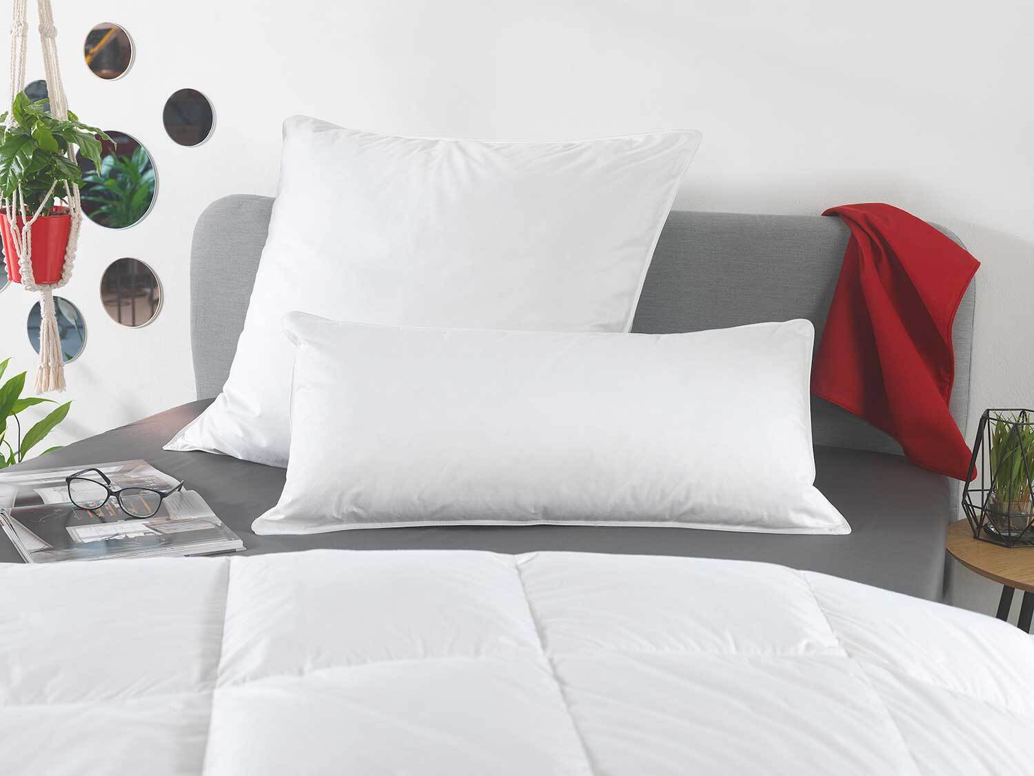 HÄUSSLING Premium donzen hoofdkussen (65 x 65 cm)