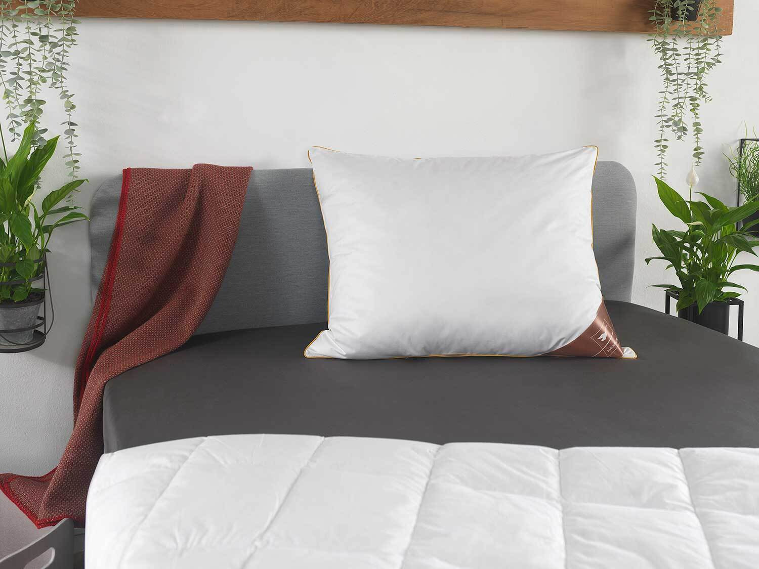 HÄUSSLING Royal donzen hoofdkussen (70 x 90 cm)