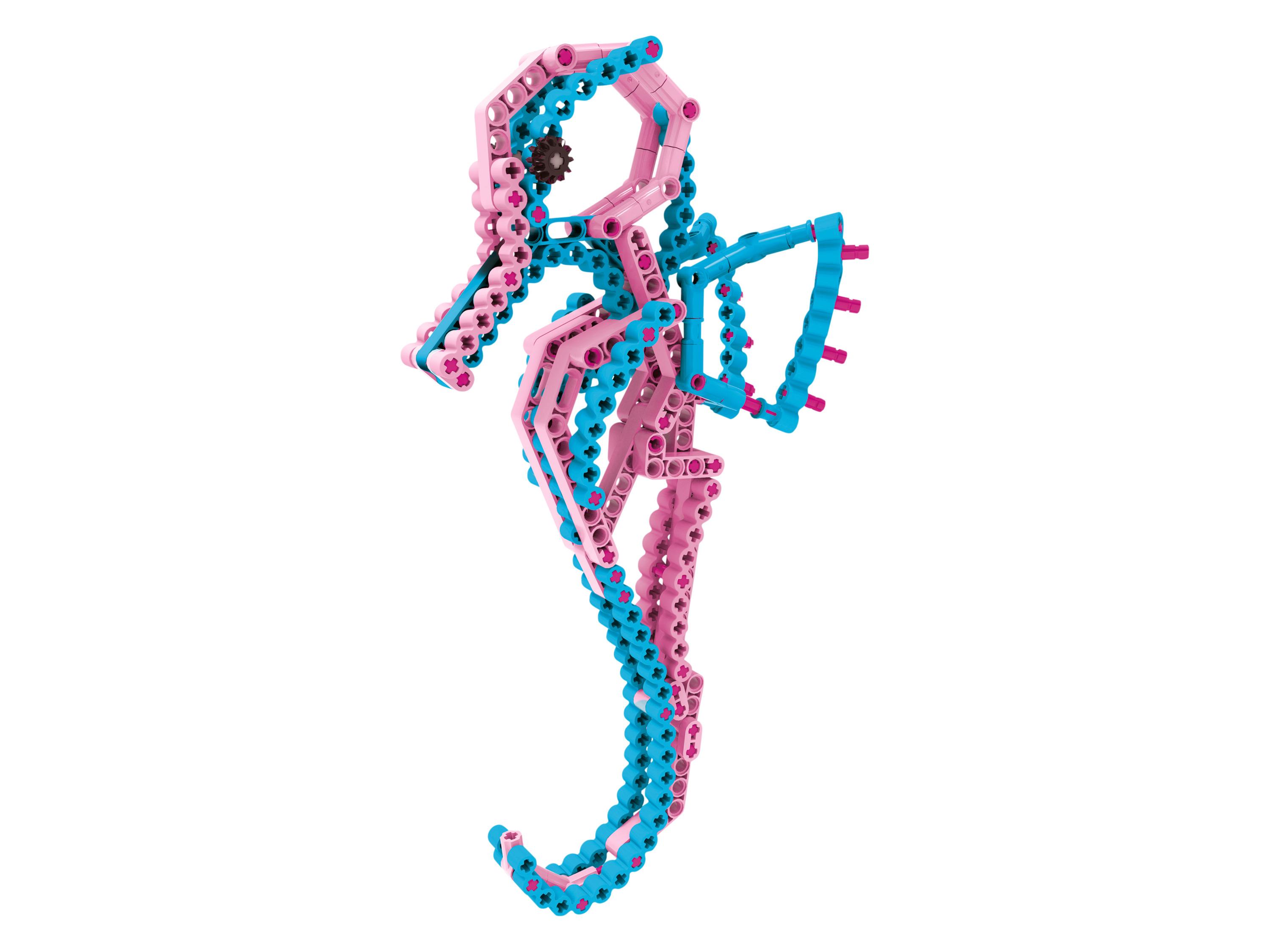 Höhle der Löwen Bouwstenenset (Zeepaardje)