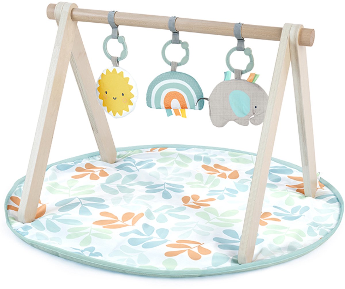 Baby activity gym sun valley - Ingenuity - vanaf 0 maanden