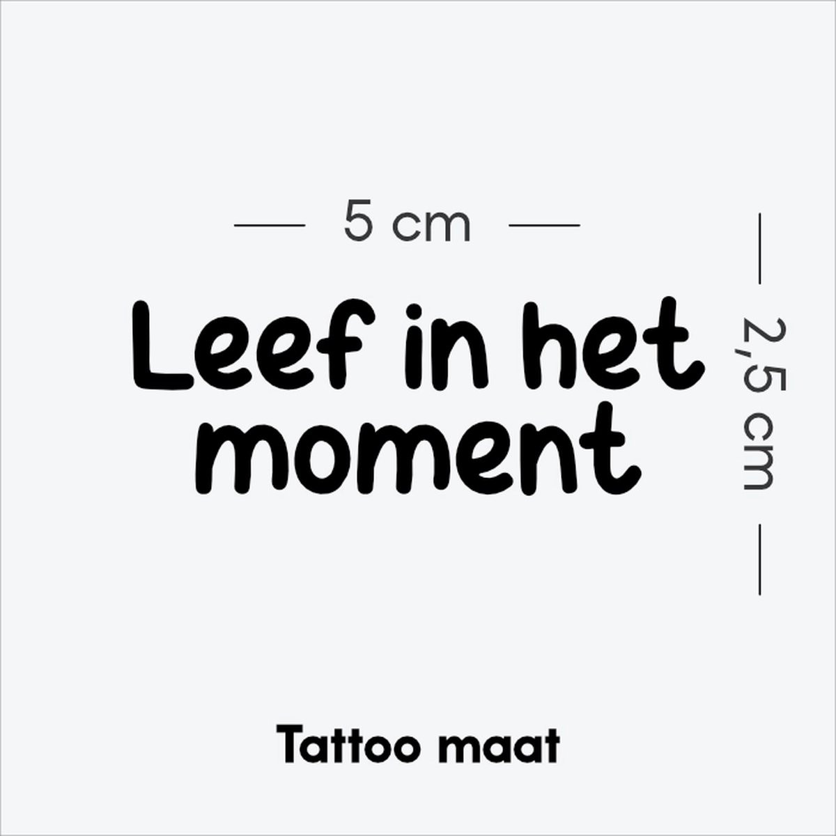 Carpe diem - Tijdelijke Tattoo volwassenen - Plantaardige inkt - Blijft 2 weken staan - Ink Identity