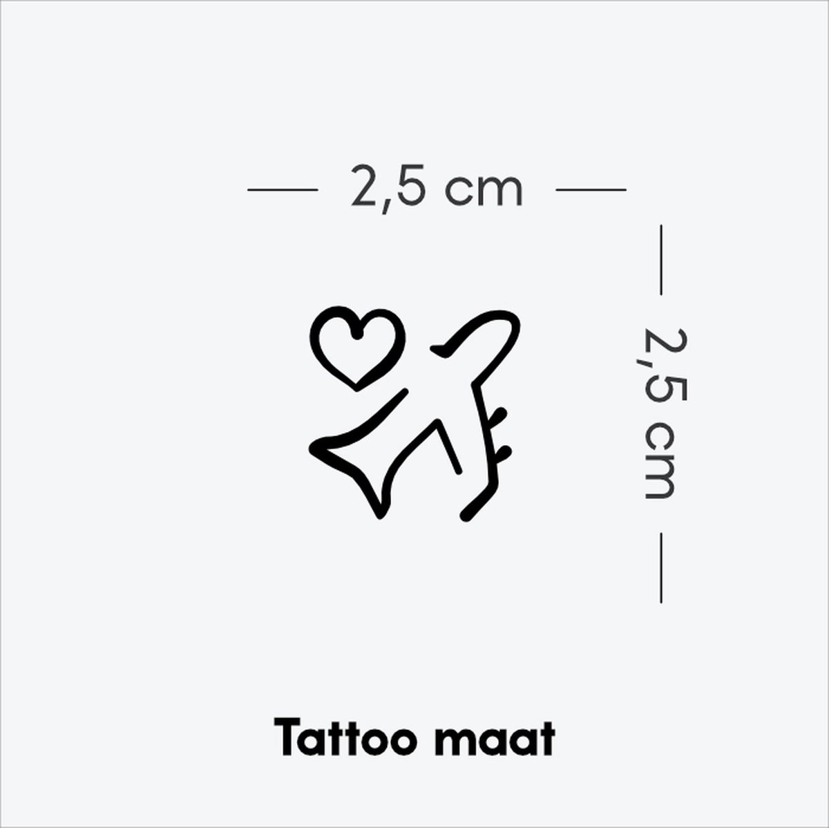 Vliegtuig: vleugels van liefde - Tijdelijke Tattoo volwassenen - Plantaardige inkt - Blijft 2 weken staan - Ink Identity