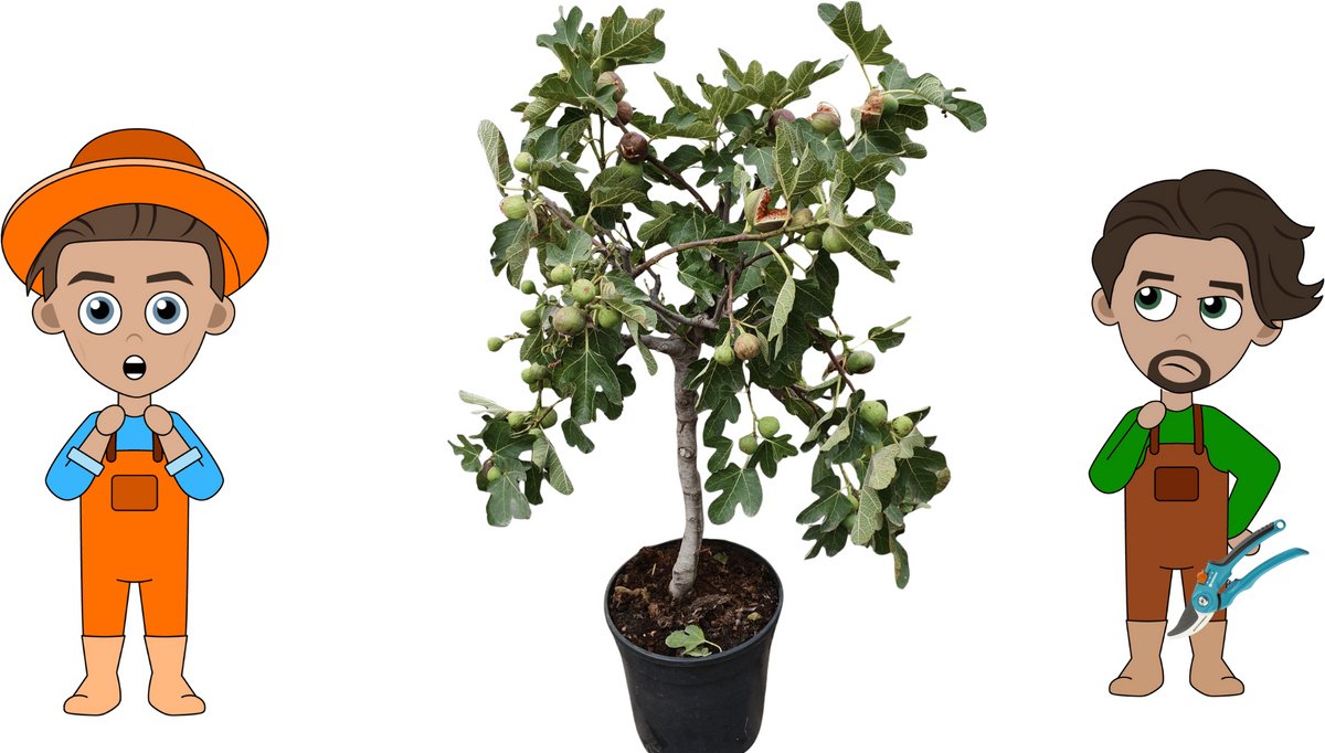 Interline - test - interieur