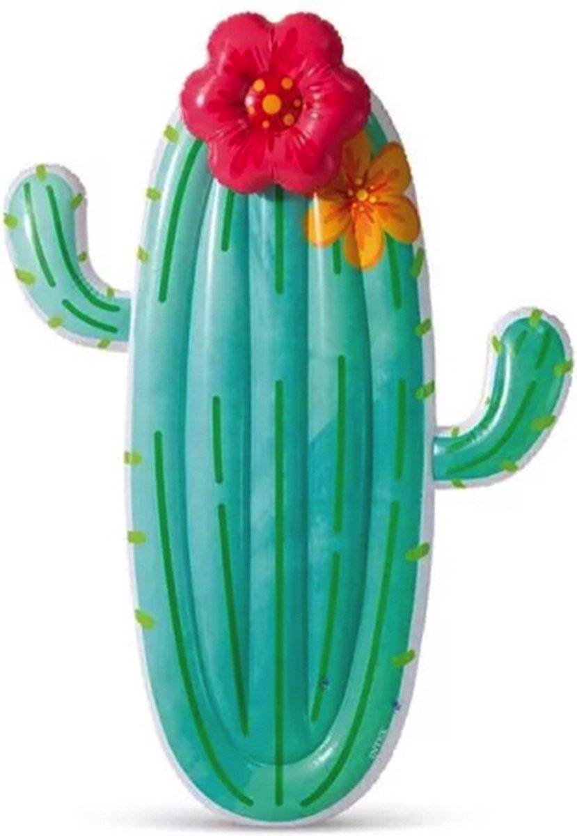   Cactus luchtbed - Float - 185x140 centimeter - 58793NP