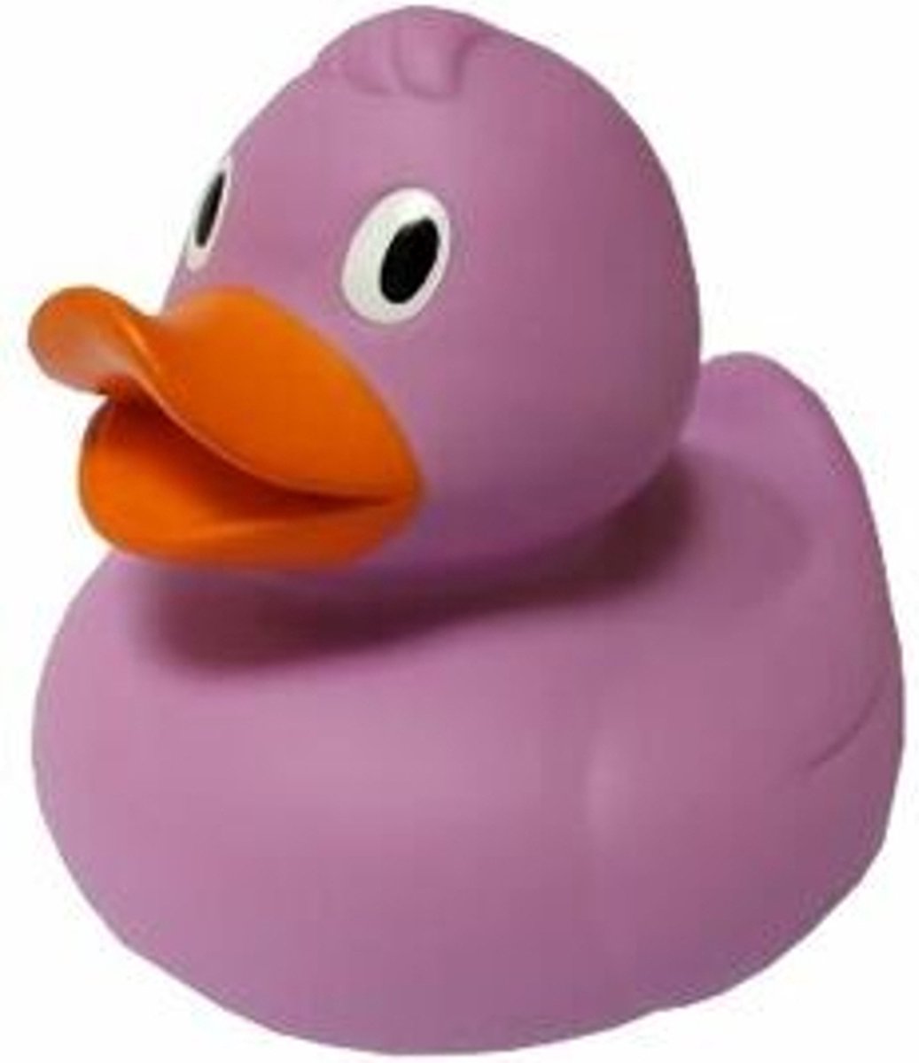 Grote badeend Purple