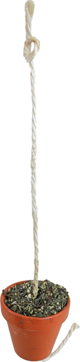 Jr Farm Kleipot Grote Parkiet En Papegaai - Vogelspeelgoed - 13x10x19.5 cm 260 g