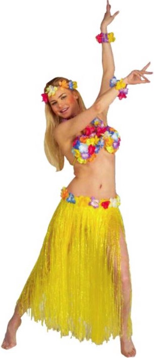 Carnaval / Hawaii set / rok / BH / ketting / armbanden / verkleedkleren / feest