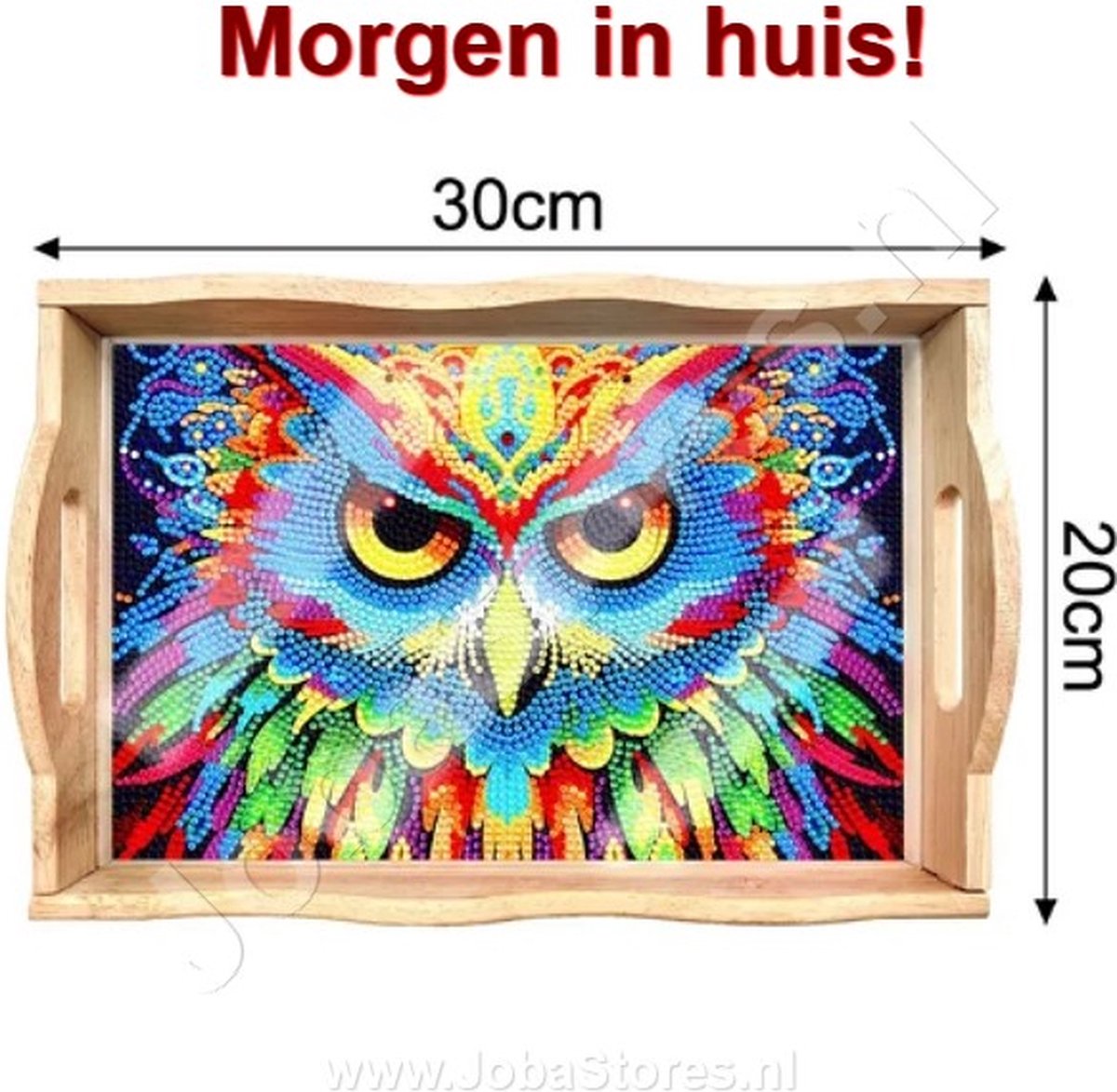 Diamond Painting Houten Dienblad 05 Uil (20x30cm)