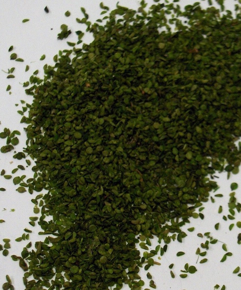 JoeFix - FINE SMALL GREEN LEAVES - modelbouwsets, hobbybouwspeelgoed voor kinderen, modelverf en accessoires