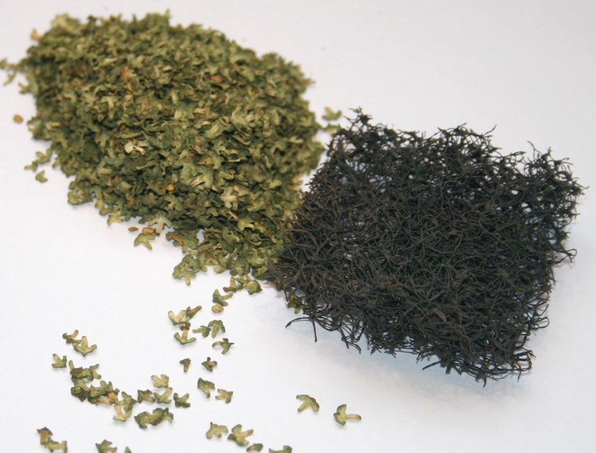 JoeFix - GREEN LEAVES - modelbouwsets, hobbybouwspeelgoed voor kinderen, modelverf en accessoires