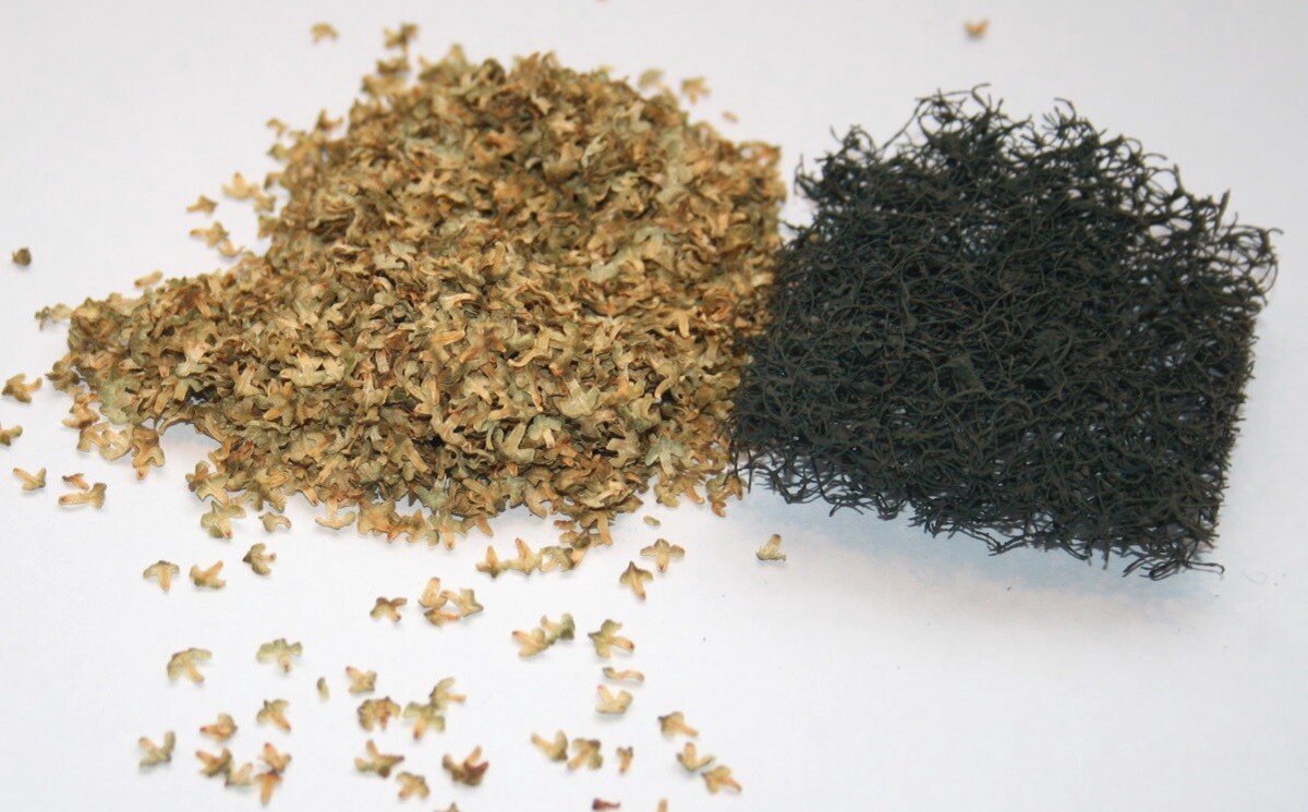 JoeFix - IVY LEAVES - modelbouwsets, hobbybouwspeelgoed voor kinderen, modelverf en accessoires