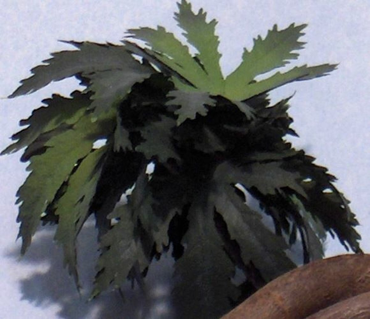 JoeFix - NAM BUSH 1 - modelbouwsets, hobbybouwspeelgoed voor kinderen, modelverf en accessoires