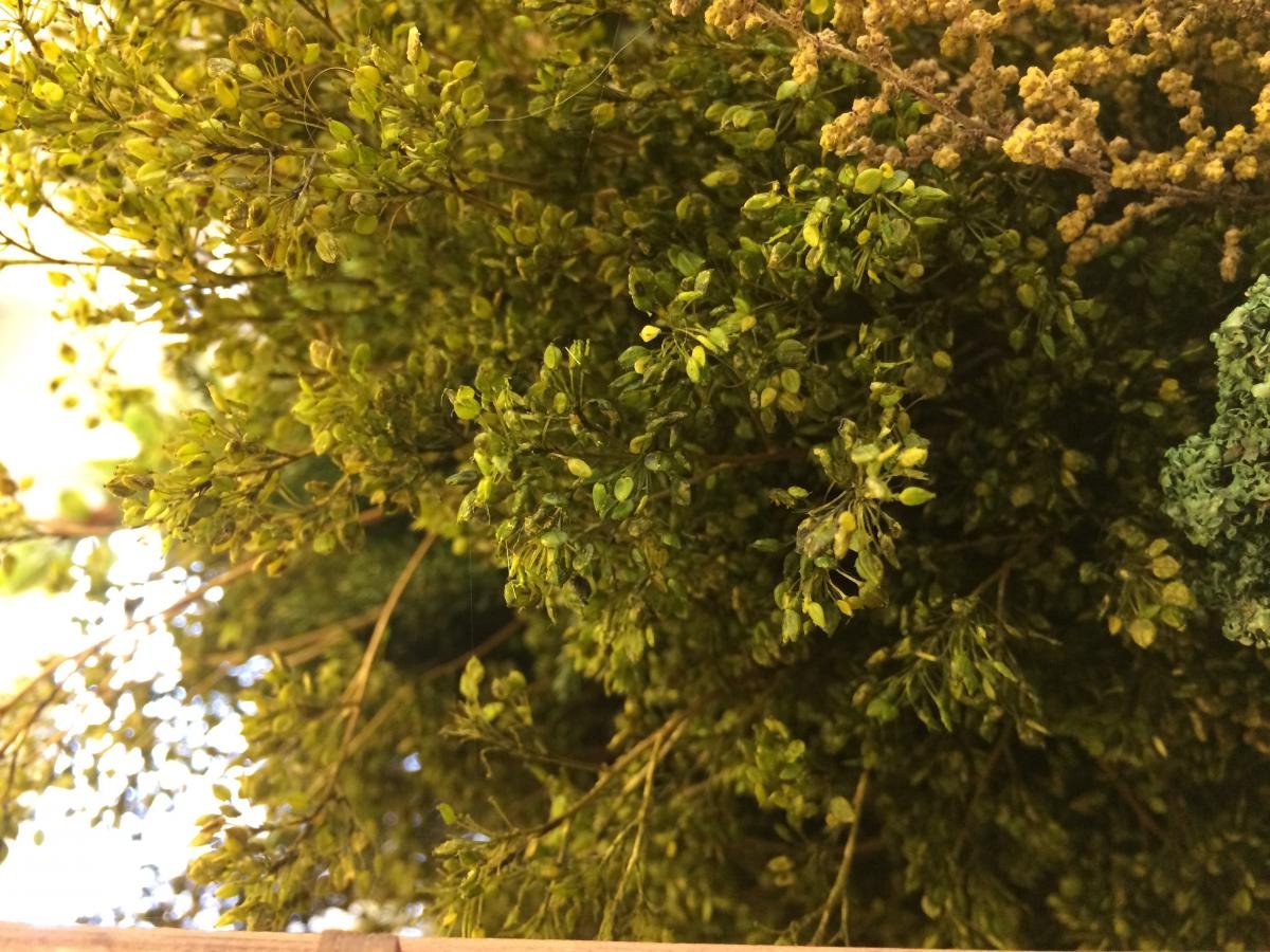 JoeFix - TWIGS WITH GREEN LEAVES ON 3 - modelbouwsets, hobbybouwspeelgoed voor kinderen, modelverf en accessoires