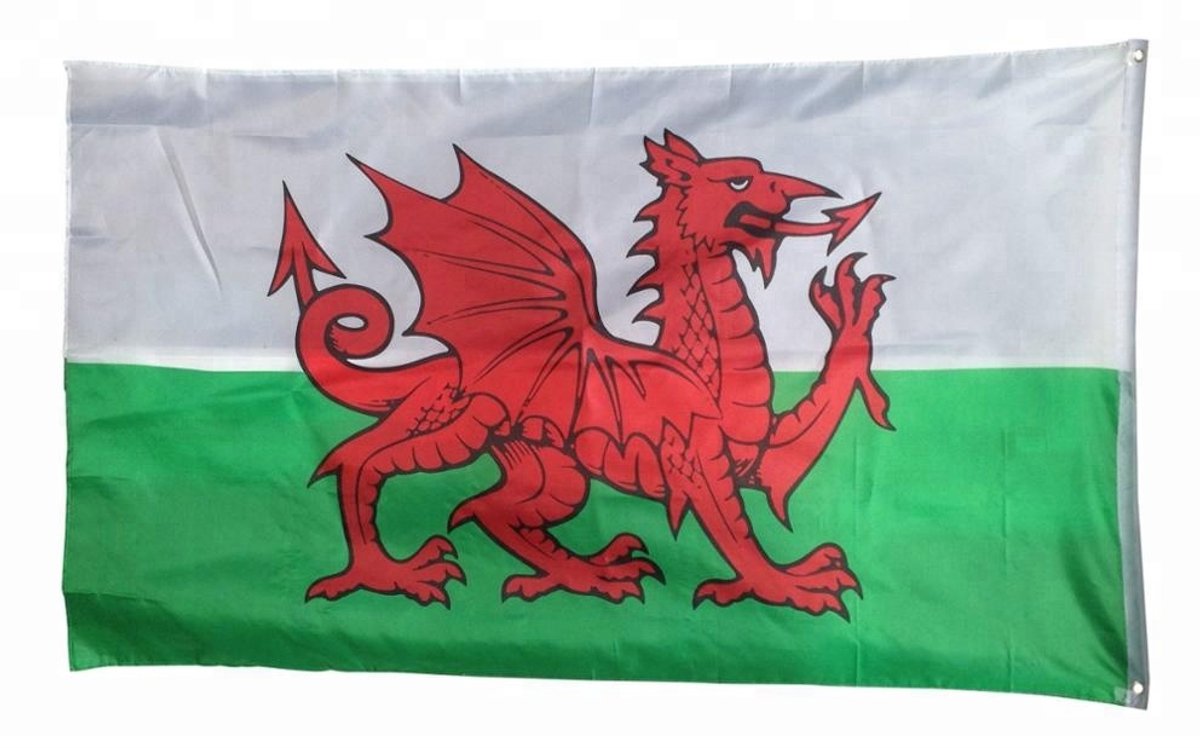 Vlag Wales - 90x150 cm - Welshe vlag - Met ophangringen - Flag Wales - Jonyx