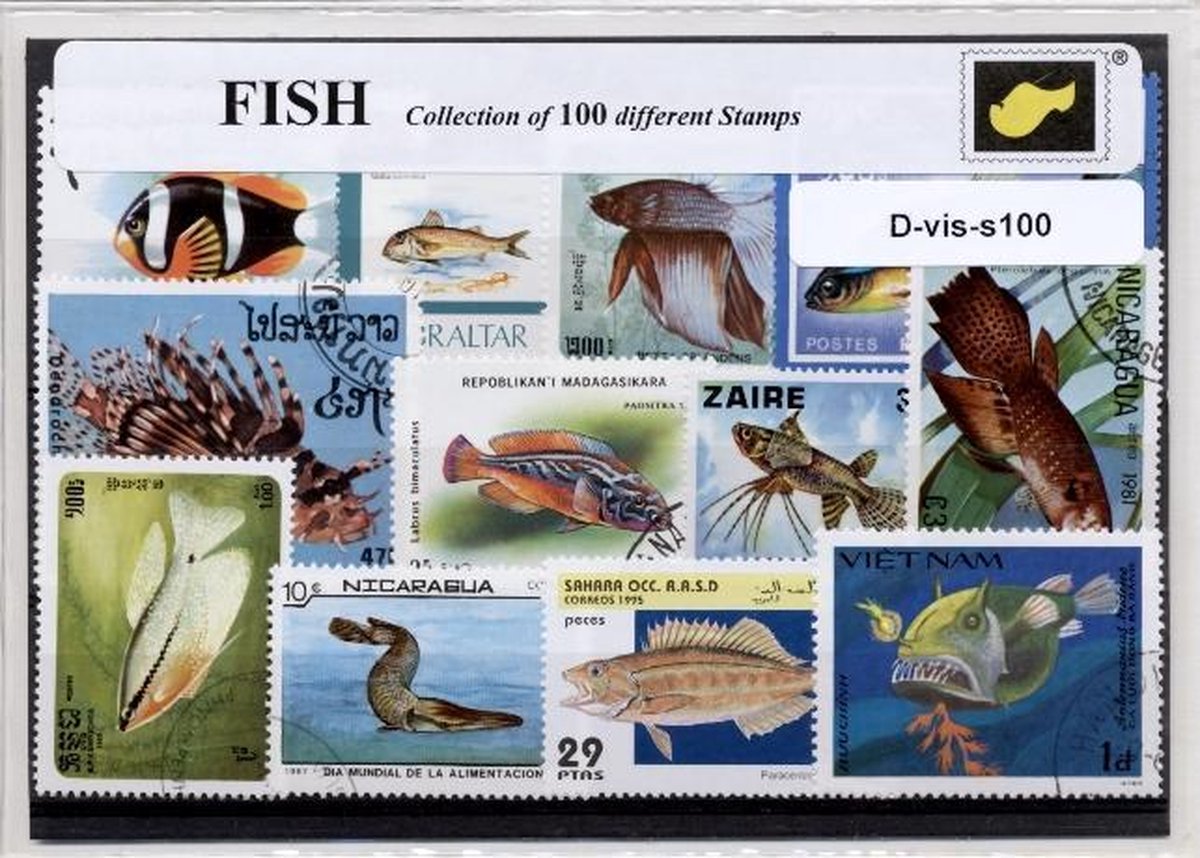 Vissen – Luxe postzegel pakket (A6 formaat) : collectie van 100 verschillende postzegels van vissen – kan als ansichtkaart in een A6 envelop - authentiek cadeau - kado - geschenk - kaart - Pisces - zee - huisdier - zee - hengelsport -  kieuwen