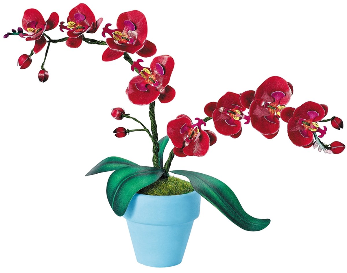 Bouwpakket 3D Model DIY Vlinderorchidee in Pot- gekleurd- metaal