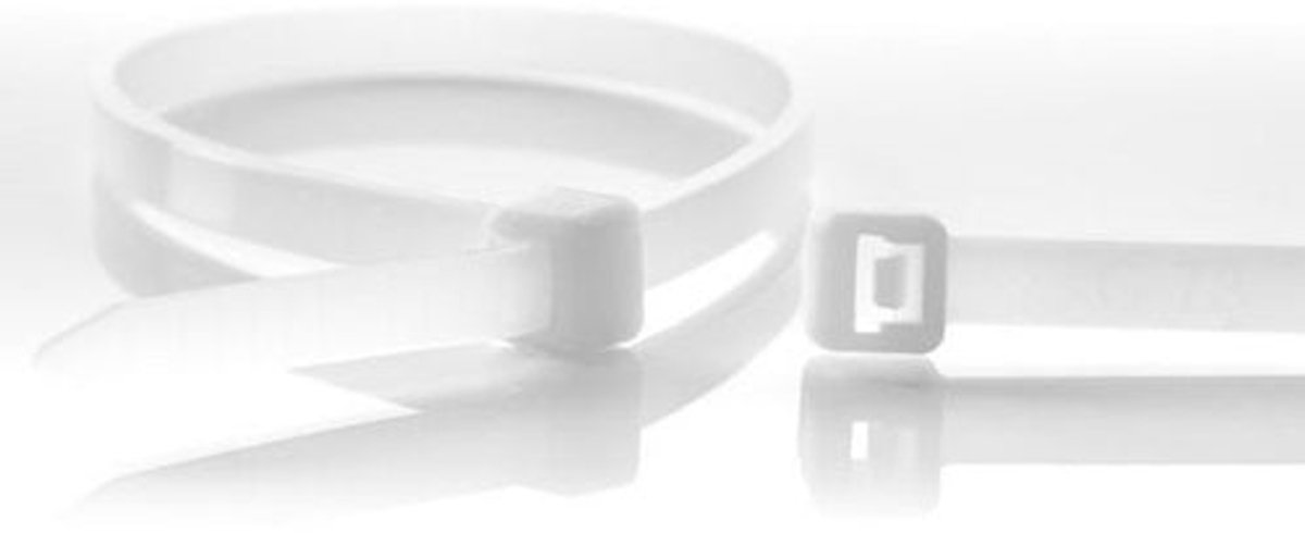 Cable-ties 100x2.5 naturel 100st