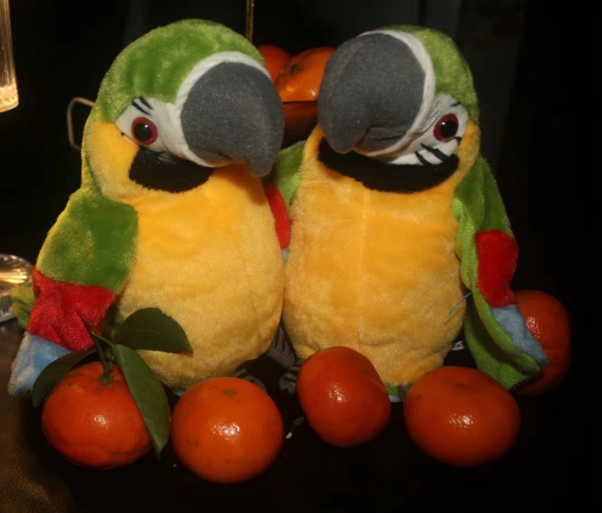   Hello Kids, Lemon de sprekende papegaai