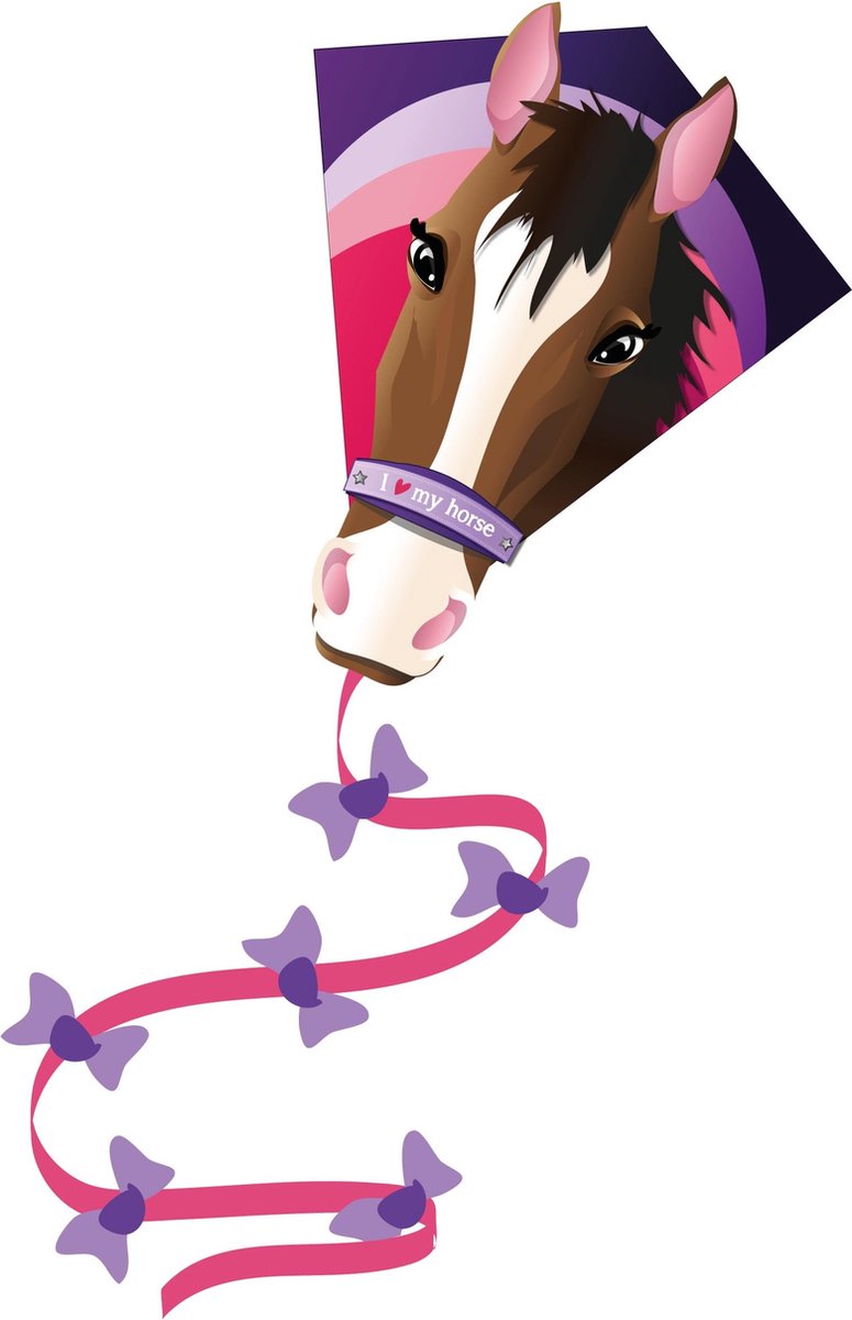   Diamant Paard 1 Lijns 65x55cm.  