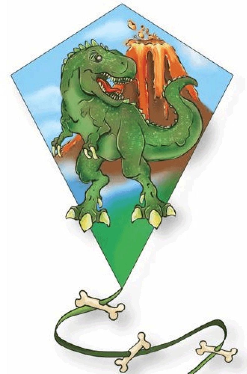   Diamant T-Rex 1 Lijns afm. 65x55 cm -  