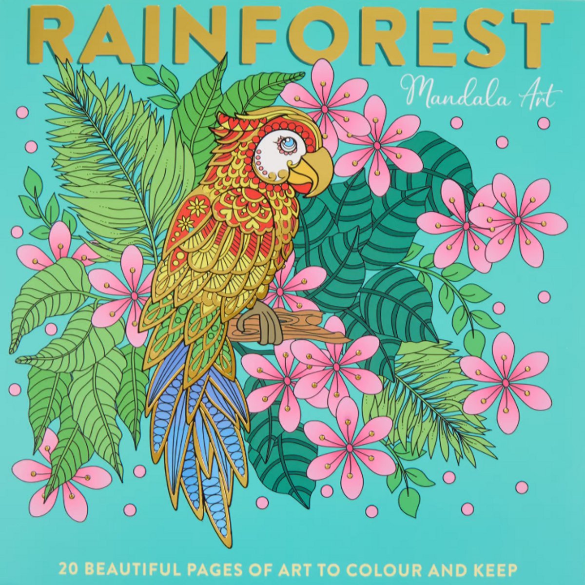 Konimpex - Mandala Art Rainforest Kleurboek – Groene Variant – 20 Paginas Vol Rustgevende Creativiteit - FSC®-gecertificeerd Papier - Uitermate Geschikt om je Hoofd Leeg te maken - 25 x 25 cm