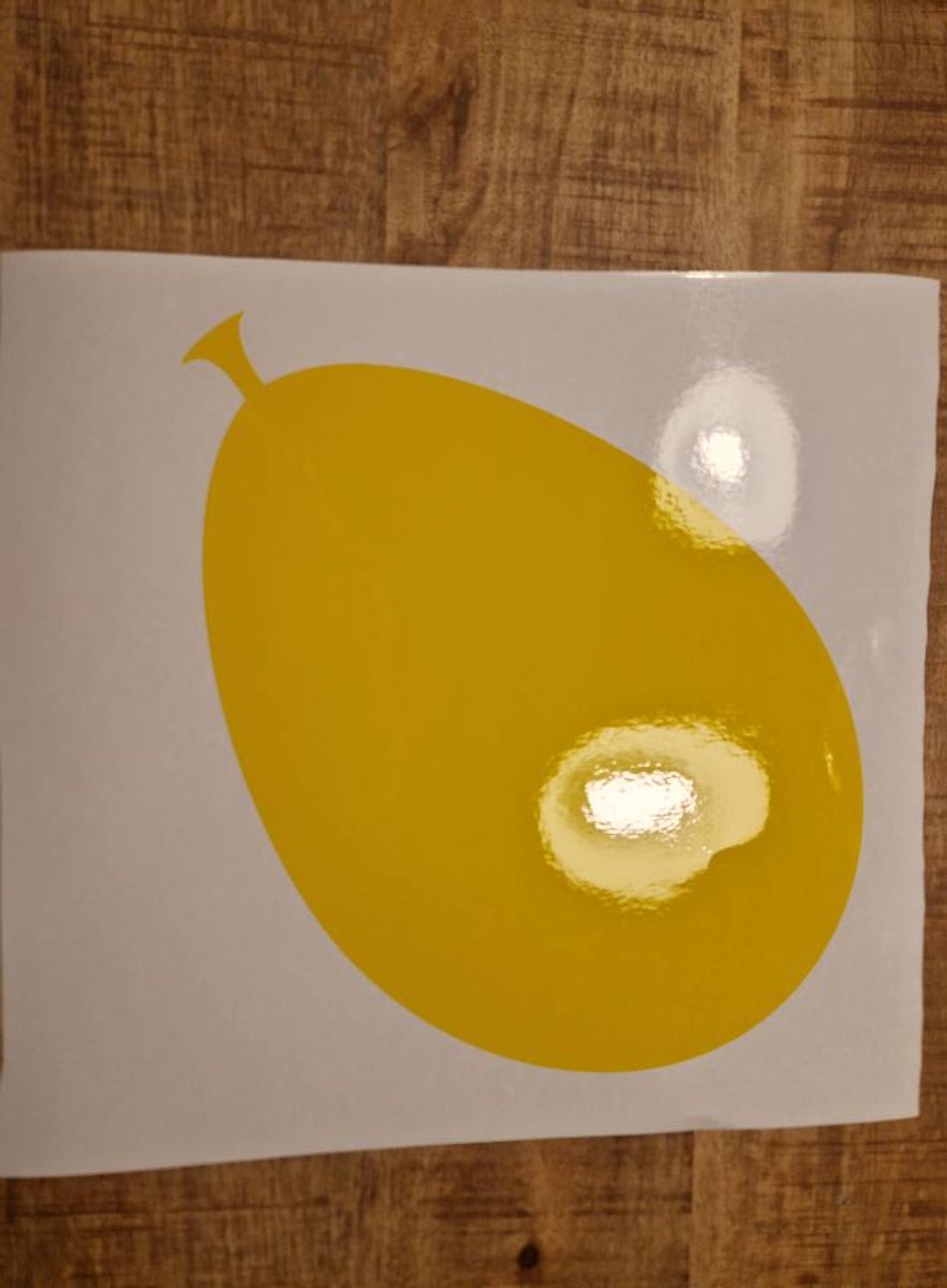 Herbruikbare raamsticker ballon 20x30cm