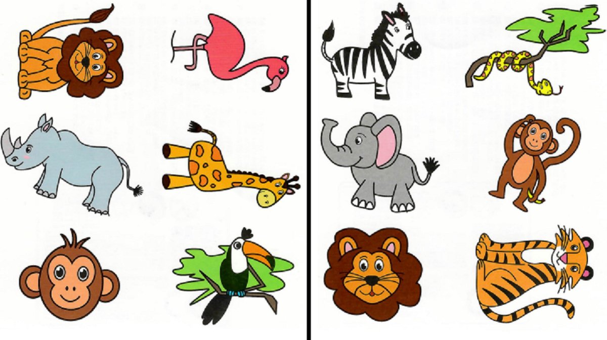 Jungle Tattoos - Set van 6 vellen